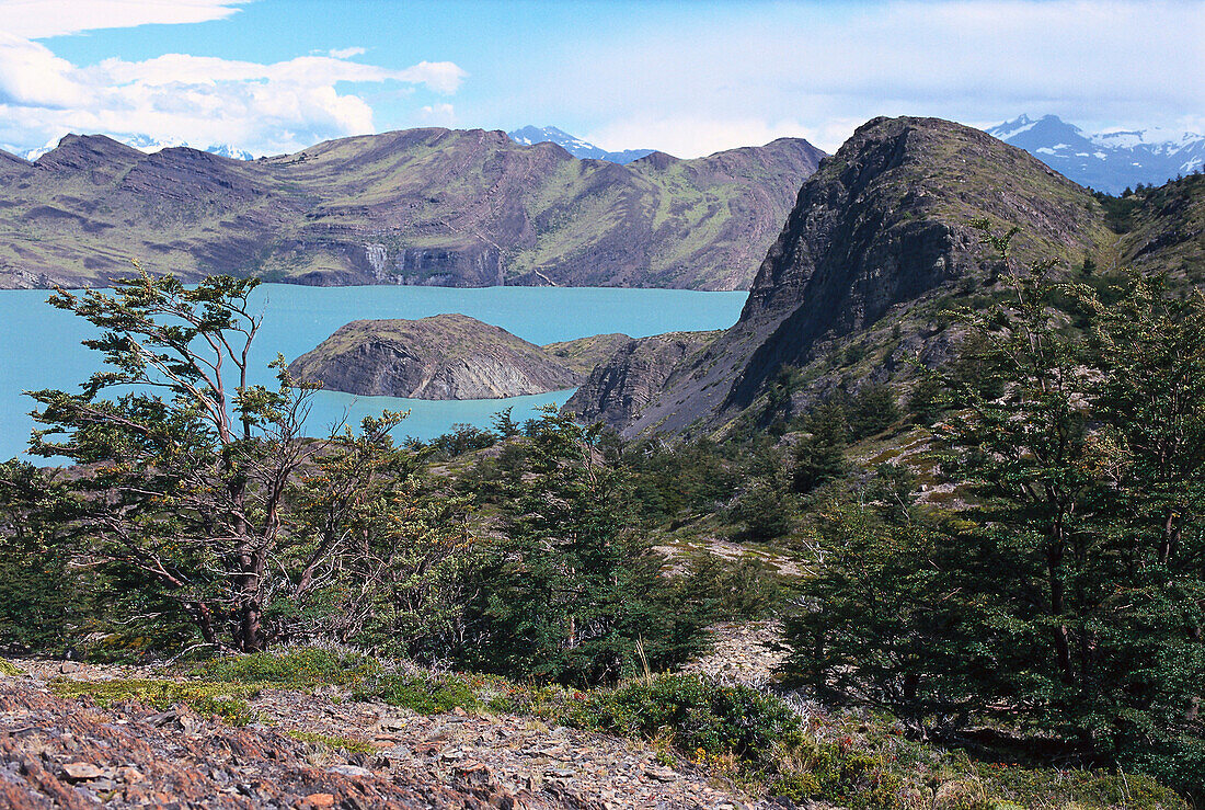 Lake Grey, idyllischer See im Torres del Paine Nationalpark, Chile, Südamerika, Amerika