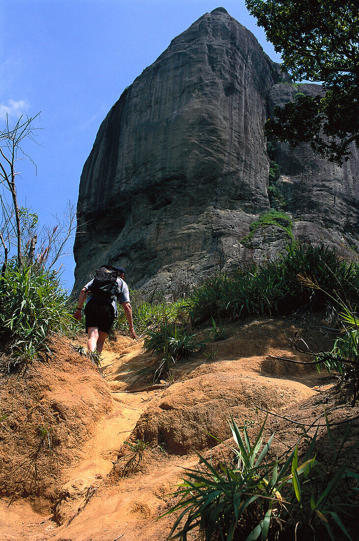 Hiking on Pedra da Gavea Mtn., Rio de Janeiro Brazil