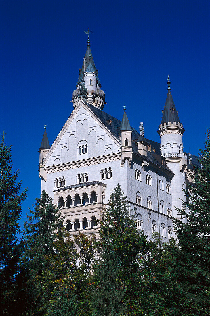 Neuschwanstein castle, Bavaria, Germany