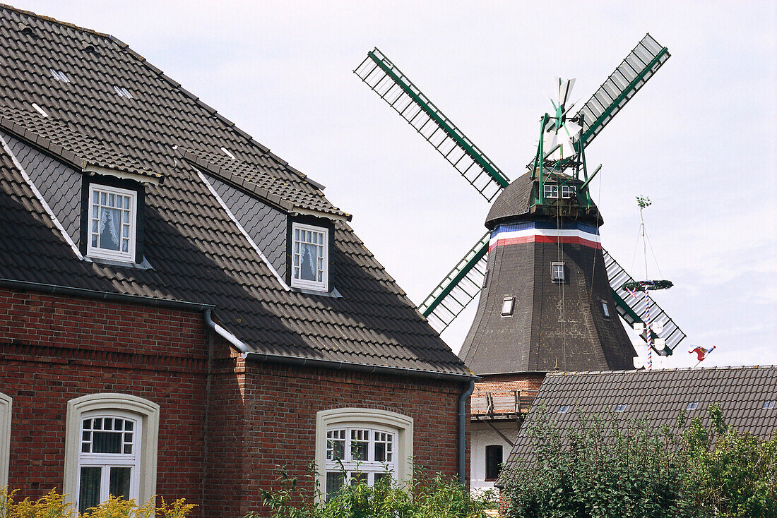 Windmühle, Nordstrand, Schleswig-Holstein, Deutschland