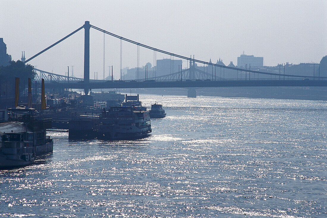 Elizabeth Bridge, Danube, Budapest Hungary