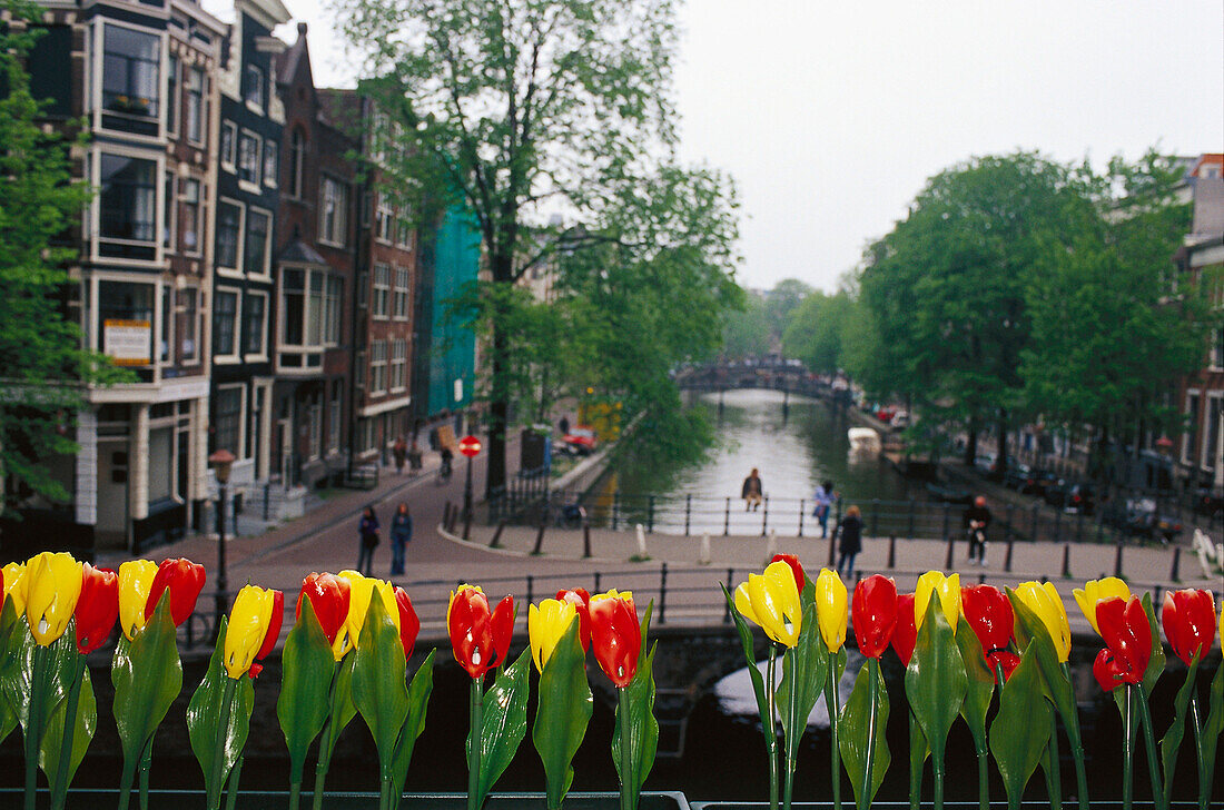 Tulip lamps, Oudezijdsvoorburgwal Amsterdam, Netherlands