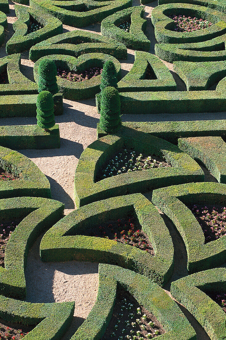 Garten der Liebe, Schloss Villandry, Château Villandry, Loire, Loire Tal, Val de Loire, Frankreich