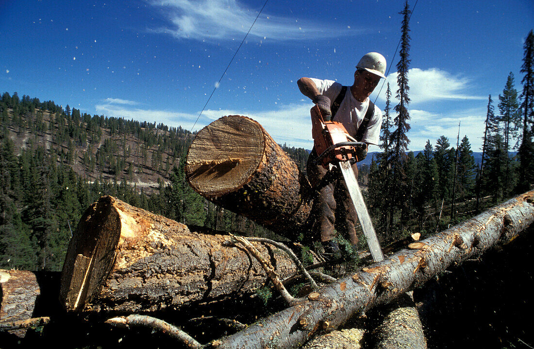 Lumberjack, Bitterroot Valley, Rocky Mountains Montana, USA