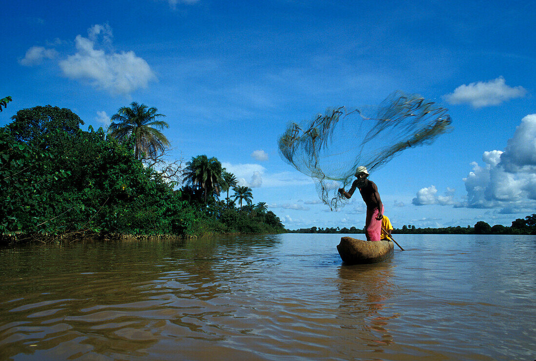 Fisherman casting his net, River Gambia, Gambia, Africa