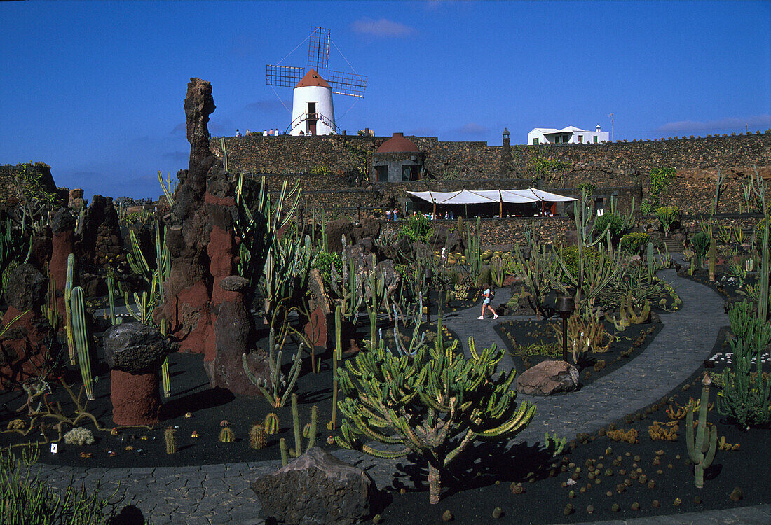 Kakteengarten, Cesar Manrique, Guatiza, Lanzarote Kanarische Inseln, Spanien