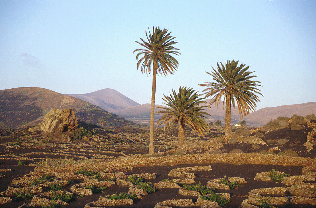 Landschaft, Yaiza, Lanzarote Kanarische Inseln, Spanien