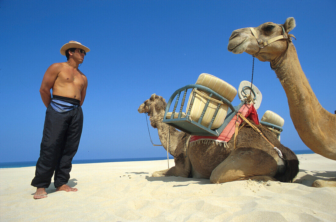 A man and two camels on a sandy beach under blue sky, Corralejo, Fuerteventura, Canary Islands, Spain, Europe