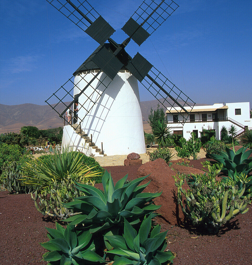 WIndmühlenmuseum, Antigua, Fuerteventura, Kanaren, Spanien