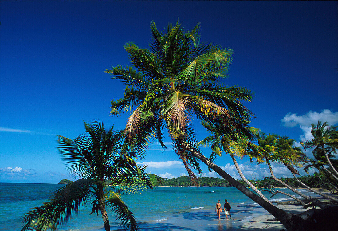 Strand, Las Terrenas, Halbinsel Samana Dominikanische Republik