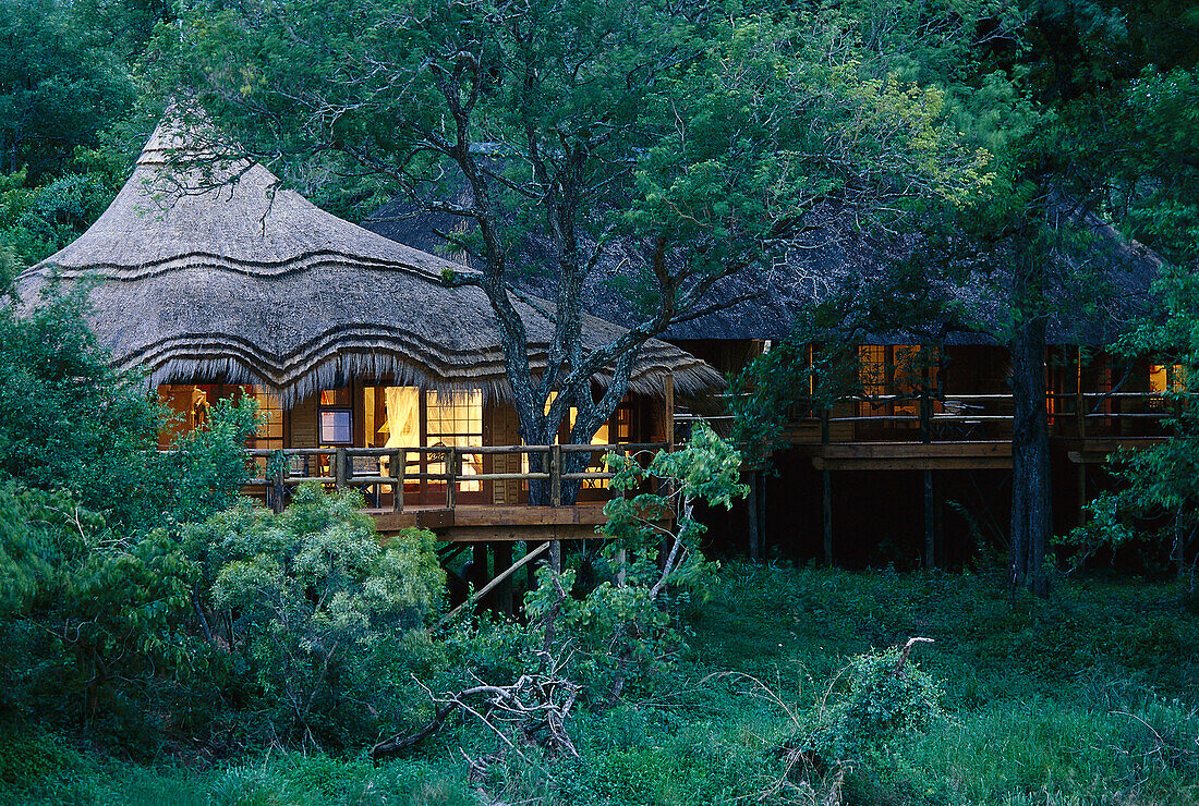 Ulusaba Game Reserve, Sabi Sands, Krüger NP, Südafrika