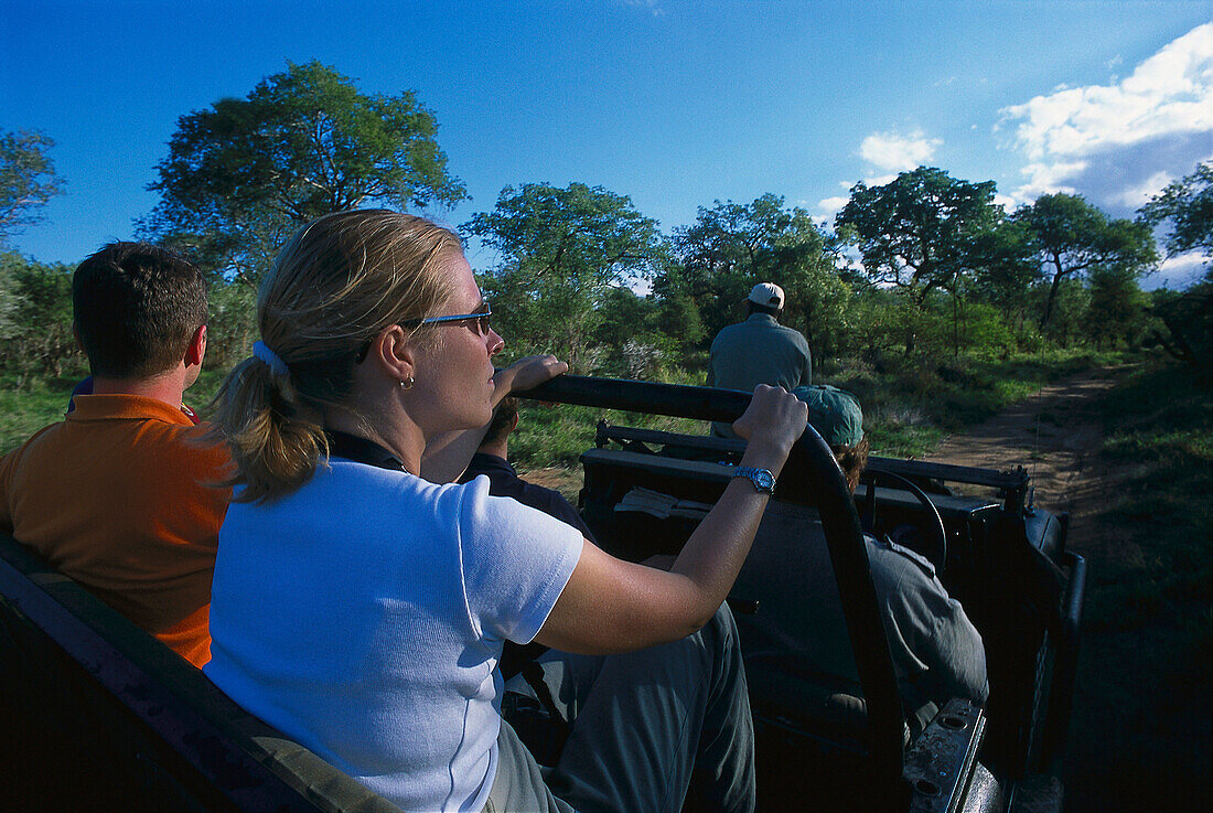 Safari, Krueger NP, South Africa