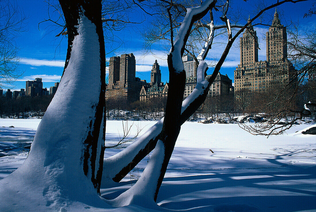 The Lake, Central Park in winter, Skyline, Central Park West Manhattan, New York, USA