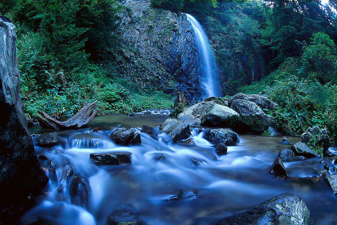 Wasserfall in idyllischer Landschaft, Le Mont Dore, Auvergne, Frankreich, Europa