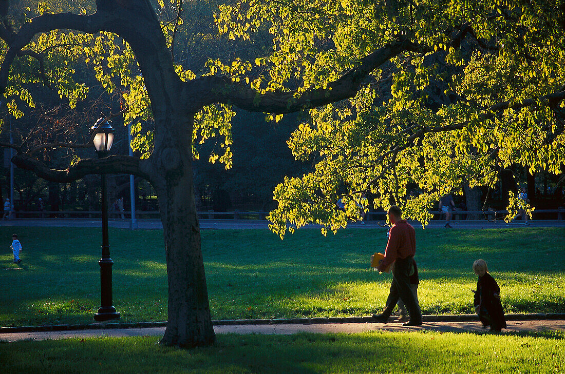 Central Park in the morning, Manhattan New York, USA