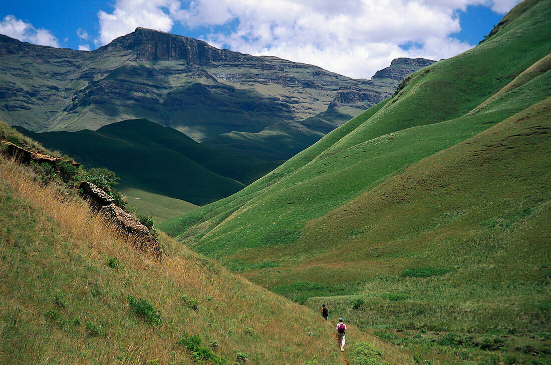 Trekking, Giant Castle NP, Drakensberge, KwaZulu Natal, South Africa