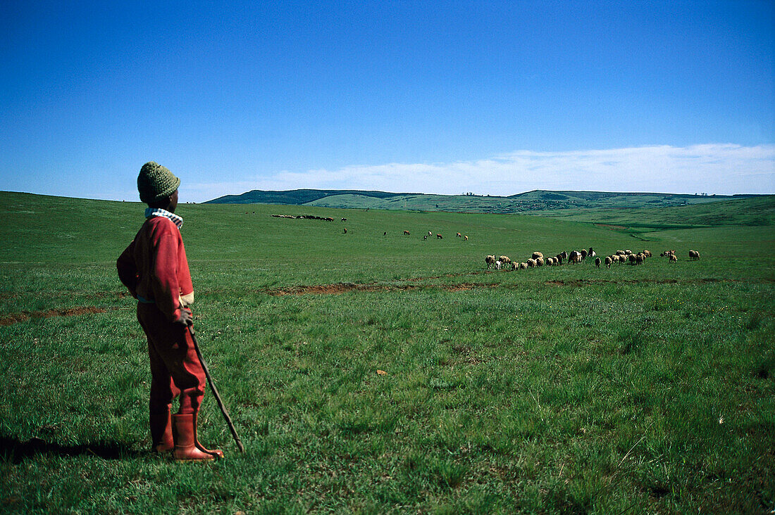 Zulu-shepherd, Drakensberge, KwaZulu Natal South Africa