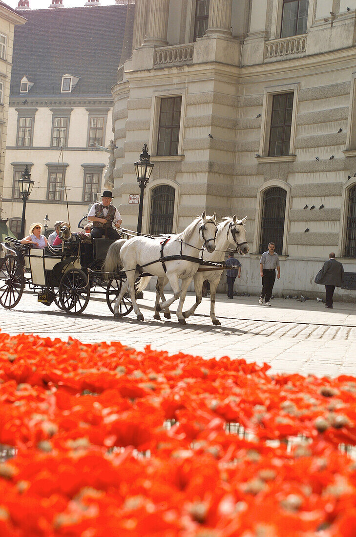 Fiacra passing flowerbed, Vienna, Austria