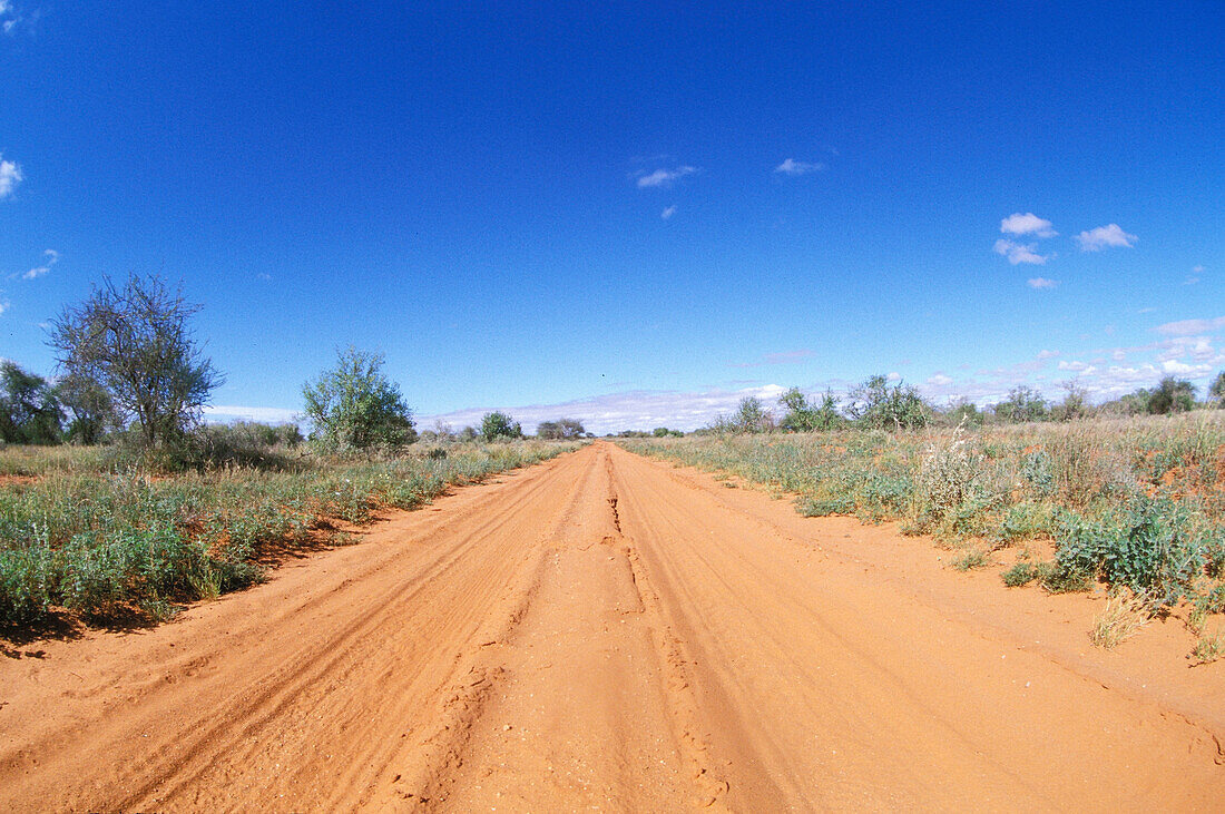 Endless street, landscape street