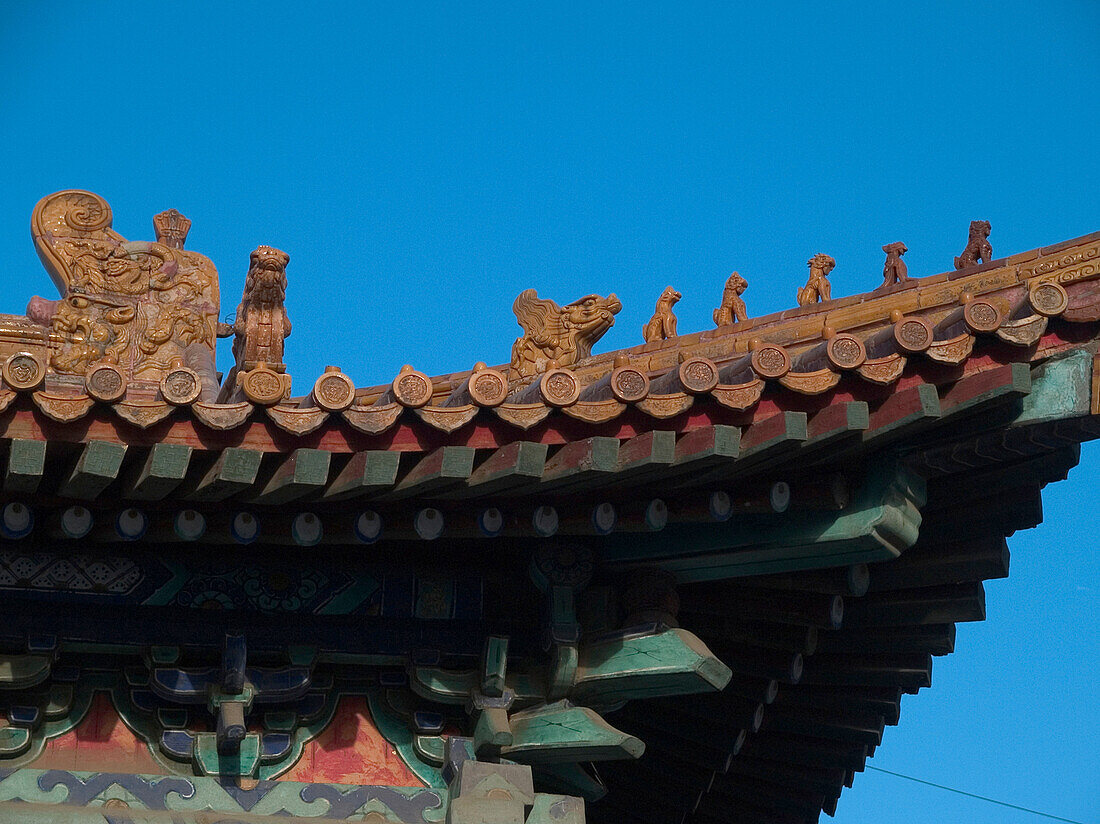 Old chinese roof, travel forbidden city, Peking, China, Asia