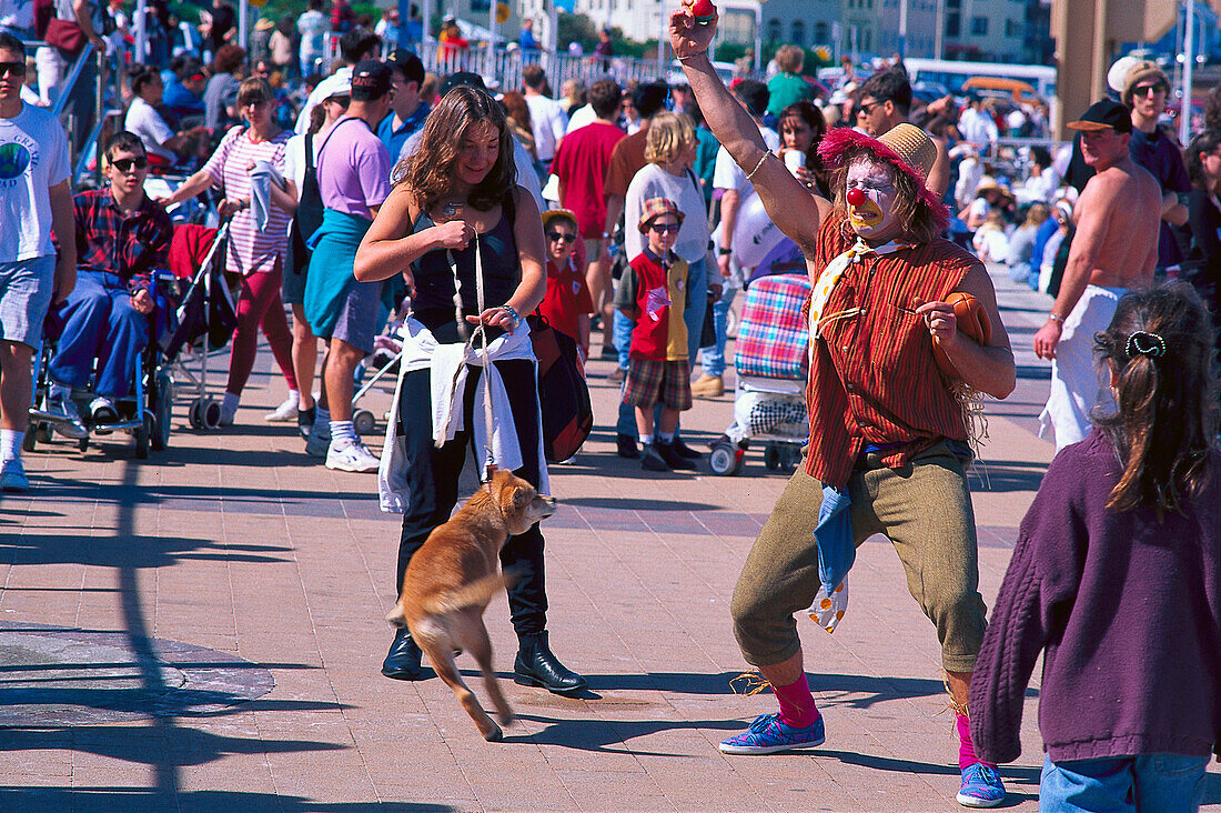 Festival of the winds, Bondi Beach, NSW Australien