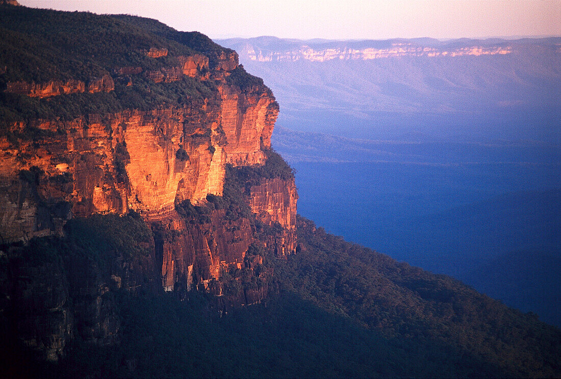 Kings Tableland, Blue Mountains, New South Wales Australia