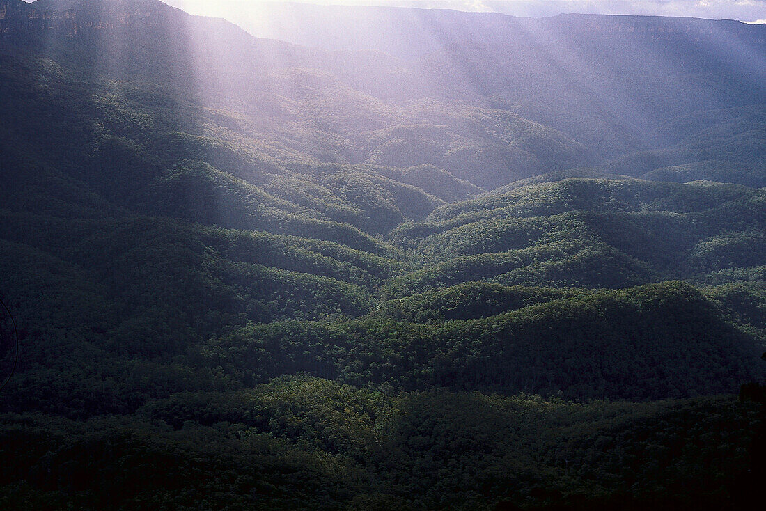 Sonnenstrahlen im Tal, Jamison Valley, Blue Mountains, New South Wales, Australien