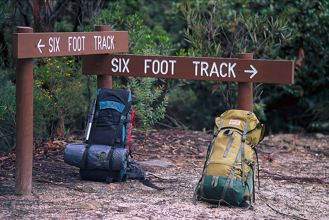 Six Foot Track, Blue Mountains, New South Wales Australia