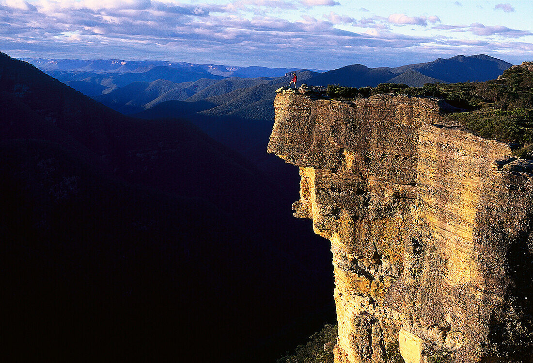 Kanangra Boyd NP, Kanangra Walls, New South Wales Australia