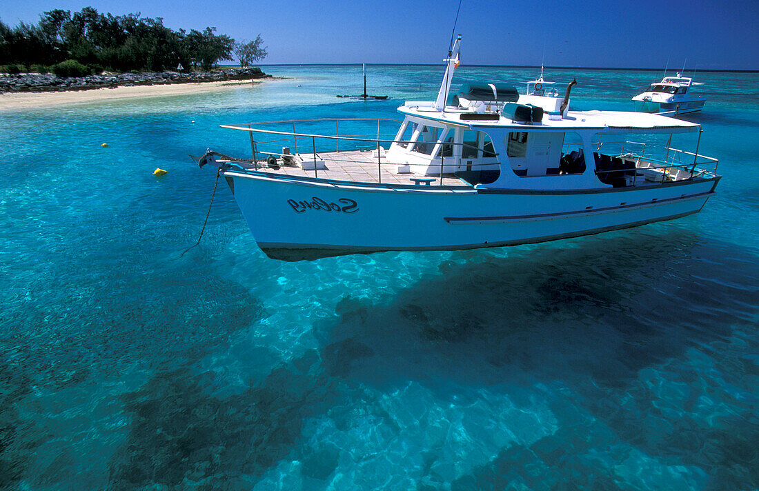 Blick vom Steg, Heron Island, Great Barrier Reef, Queensland, Australien