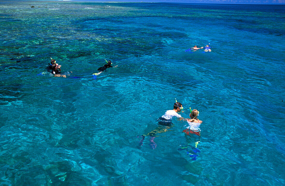 Snorkeling, Heron Island, Great Barrier Reef Queensland, Australia
