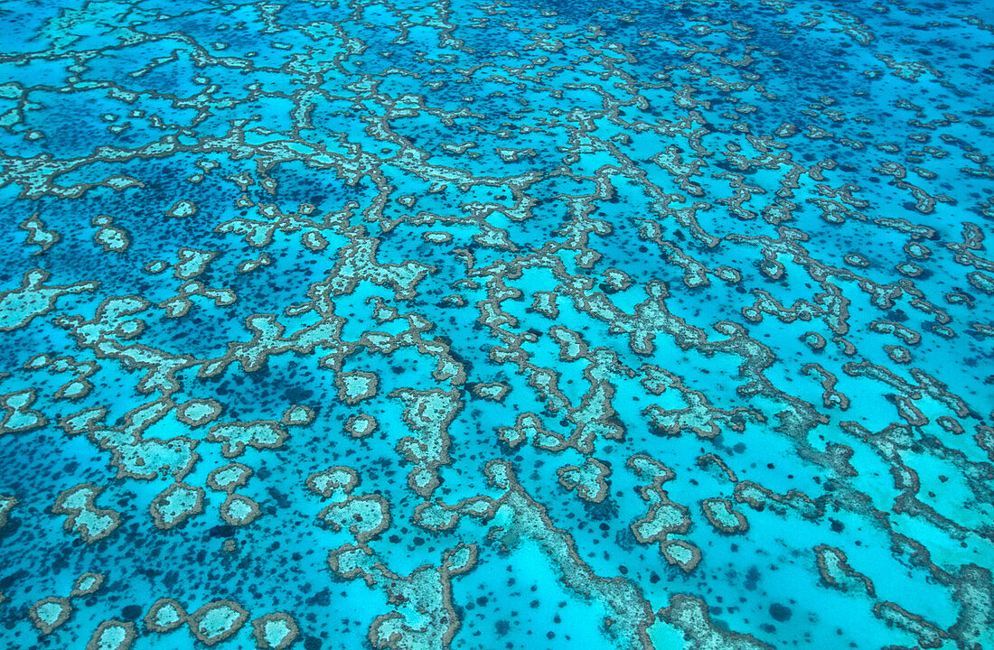 Luftaufnahme von Heron Island, Grosses Barriereriff, Queensland, Australien