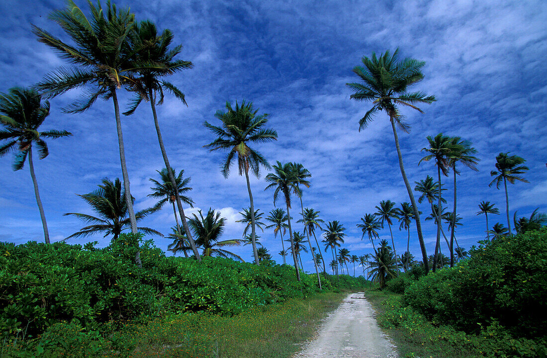 Road, Home Island, Cocos Keeling, Islands Australia