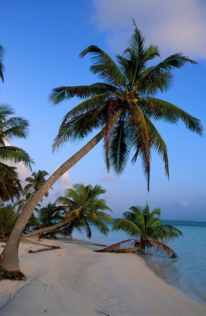 West Island, Cocos Keeling, Islands Australia