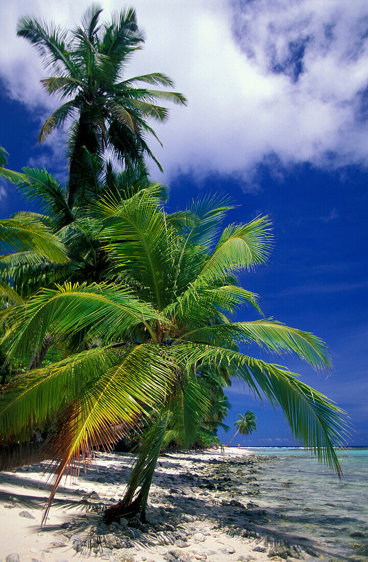 West Island, Cocos Keeling, Islands Australia