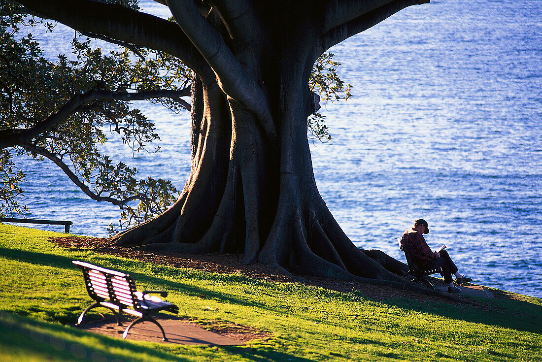 Mrs. Macquaries' s Point, Sydney , NSW Australien