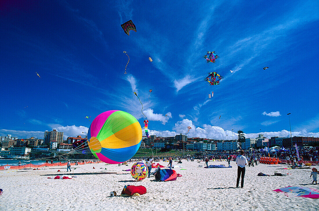 Strandleben, Bondi Beach, NSW Australien