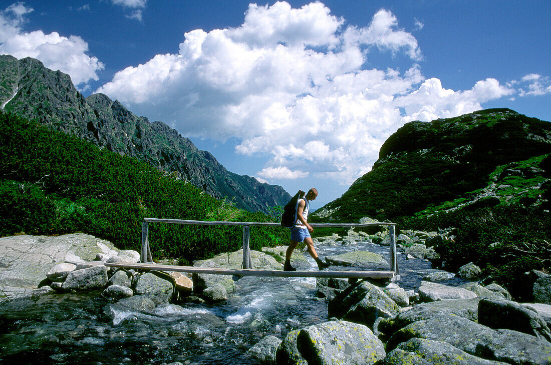 Wanderer auf Brücke über den Roztoka Fluss, Hohe Tatra, Polen