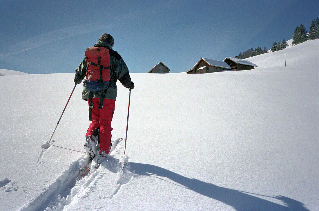 Skitour on deep snow, Appenzell, Canton Appenzell, Switzerland