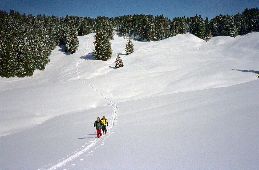 Two people on a cross country ski tour, Skiing, Appenzell, Appenzeller Land, Switzerland