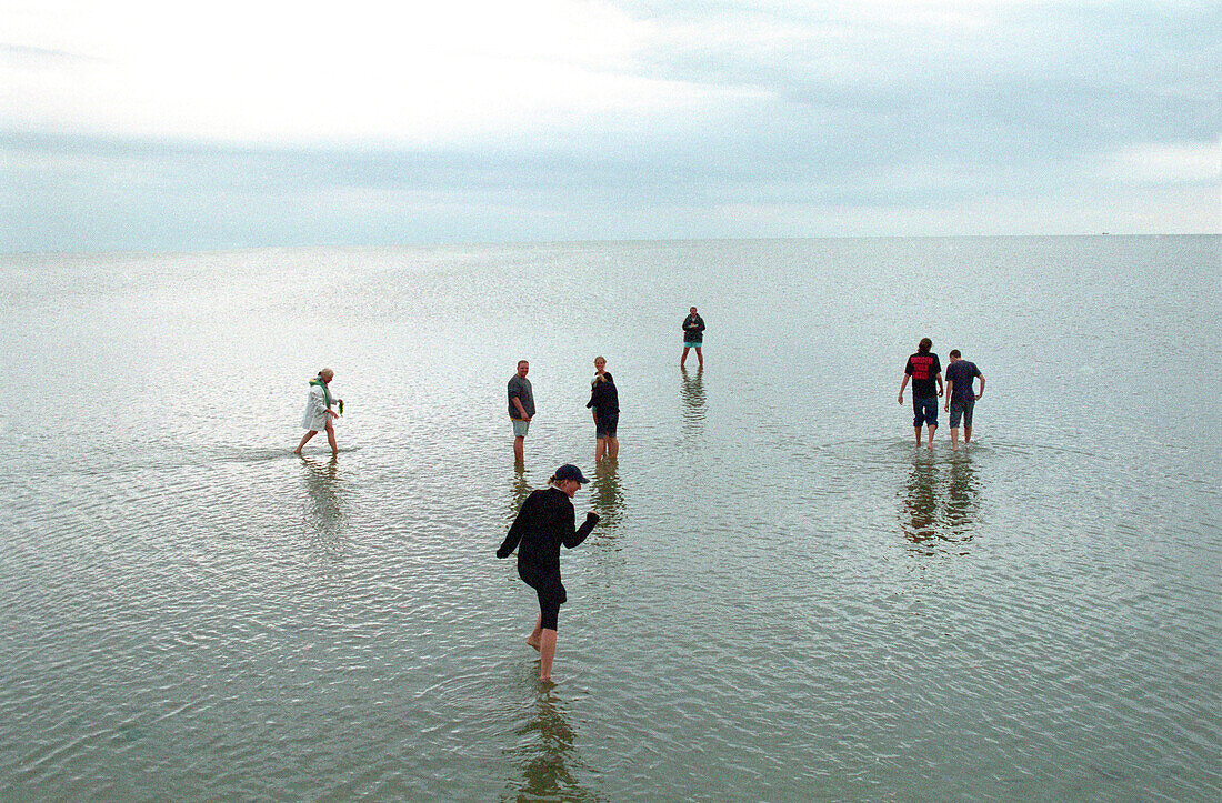 Menschen waten durch das Wattenmeer, Ameland, Niederlande