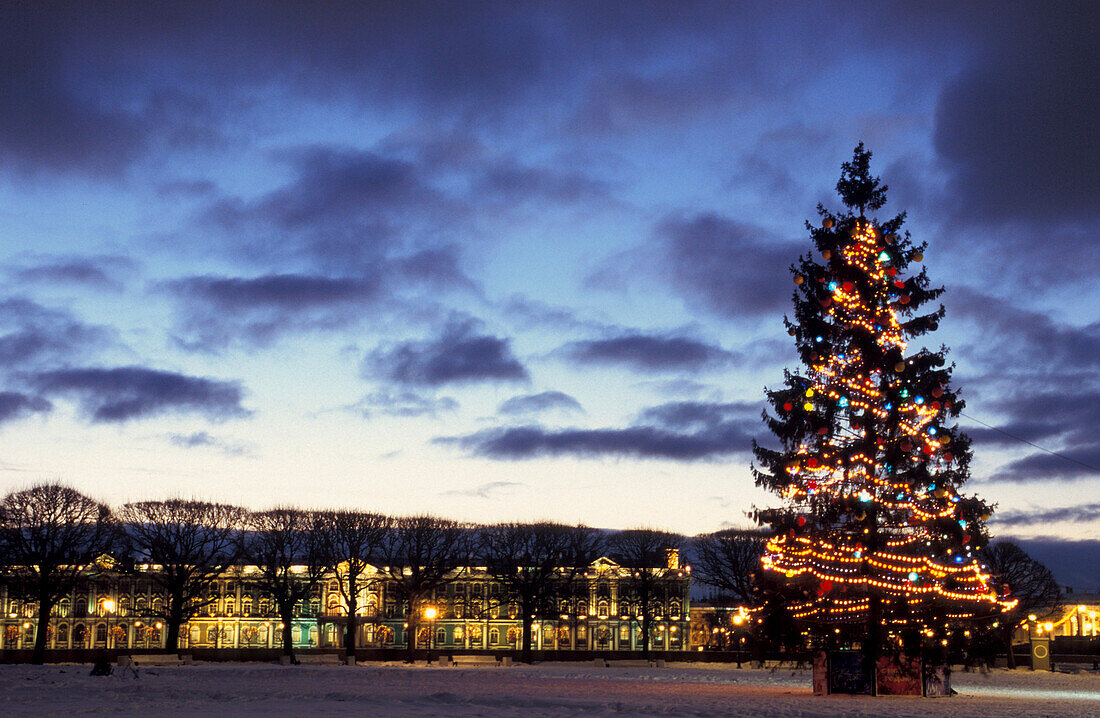 Weihnachtsbaum unter Wolkenhimmel am Abend, Birschevaya Platz, Wassilewski Insel, St. Petersburg, Russland, Europa