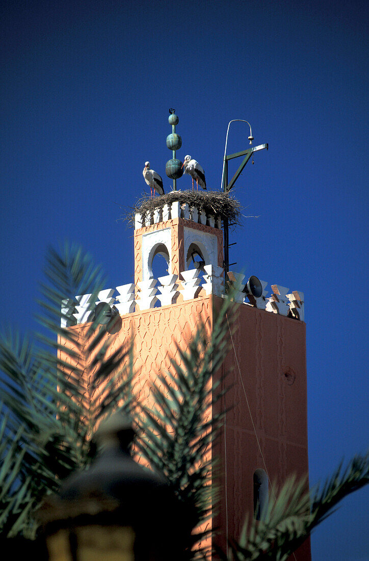 Stork nest on minaret, Marrakesh, Morocco, Africa