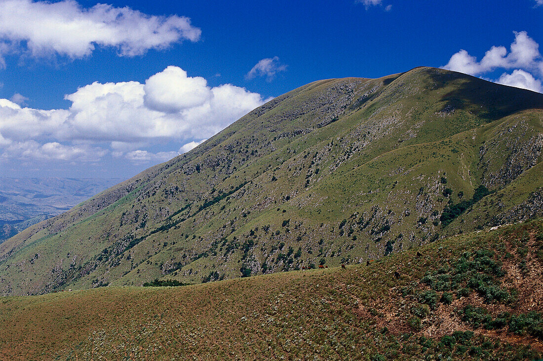 Mountains under blue sky, Province of Mpumalanga, Swaziland, South Africa, Africa