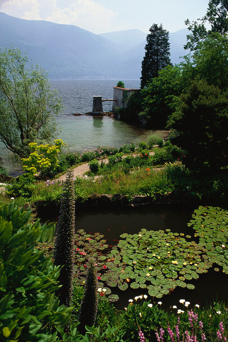 Botanical garden, Brissago islands, Isole di Brissago, Lake Maggiore, Ticino, Switzerland