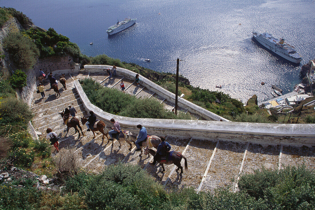 Group of tourists on donkeys, Thira, Santorini, Cyclades, Greece