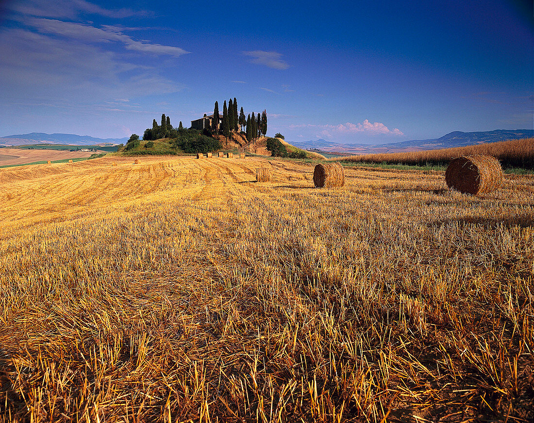 Abgemähtes Feld mit Strohballen, Landschaft bei San Quirico d'Orica, Toskana, Italien, Europa