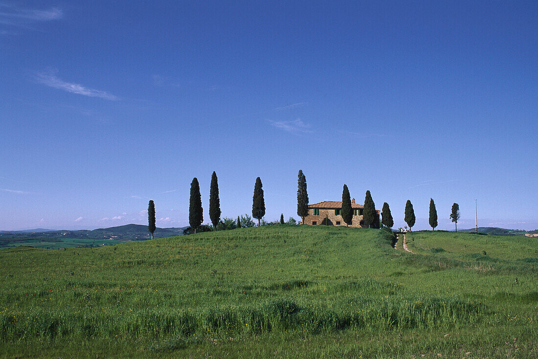 Villa with cypresses, Tuscany, Italy, Europe