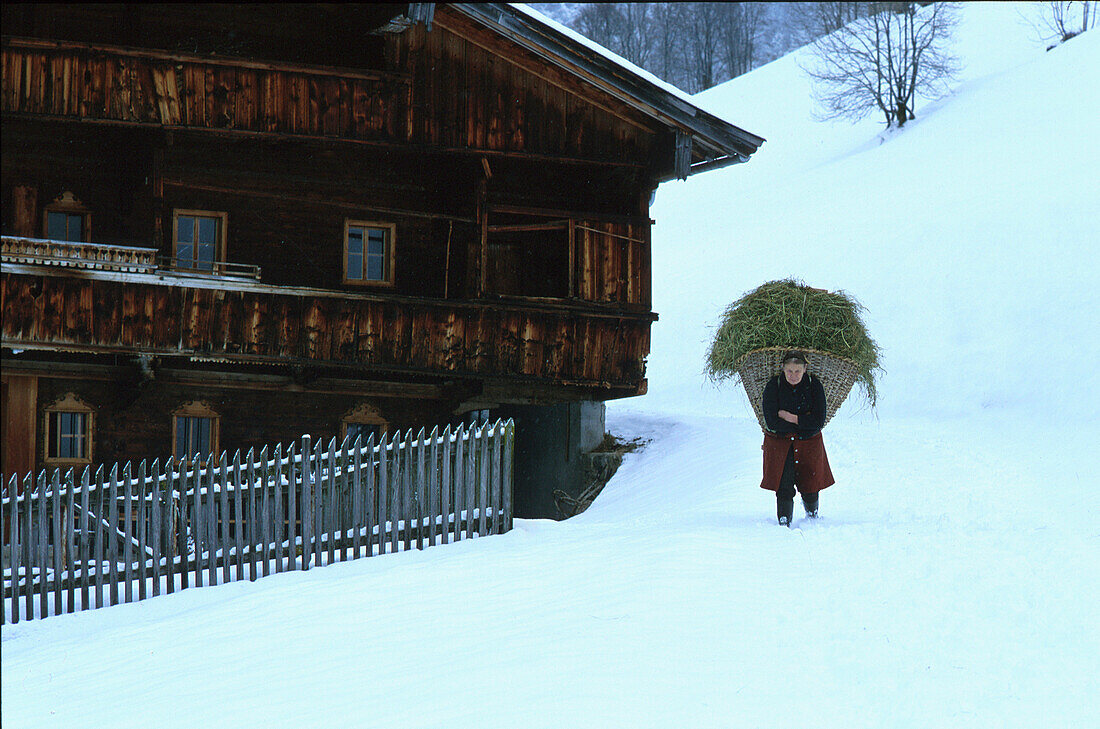 Bauernhof im Winter, Bäuerin mit Heu, Alpbach, Tirol, Österreich, Europa