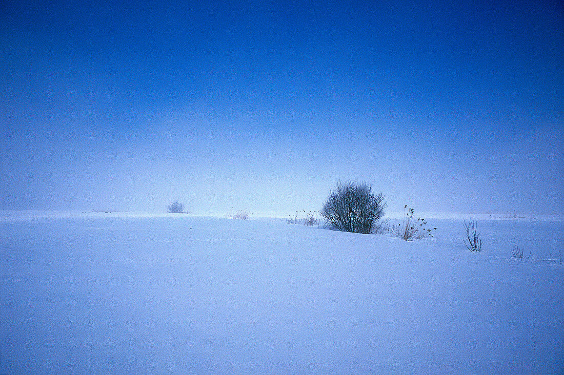 Schneelandschaft in der Dämmerung, Ebene, Bayern, Deutschland